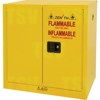 Image de Armoire pour produits inflammables 22 GAL