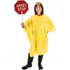 Image de Ponchos RZ