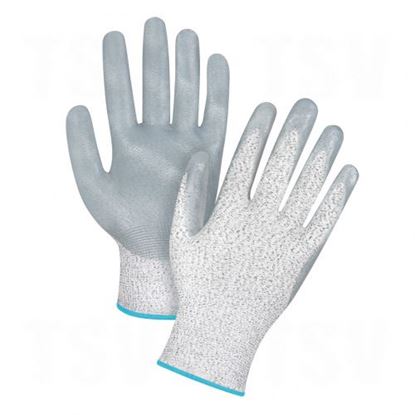 Image de Gants en PEHP enduits de nitrile