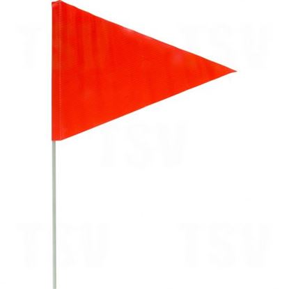 Image de Fanion pour le déneigement